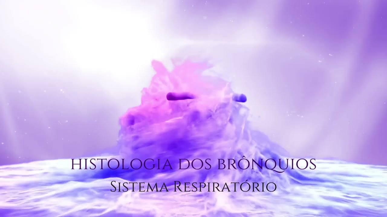Histologia dos Brônquios