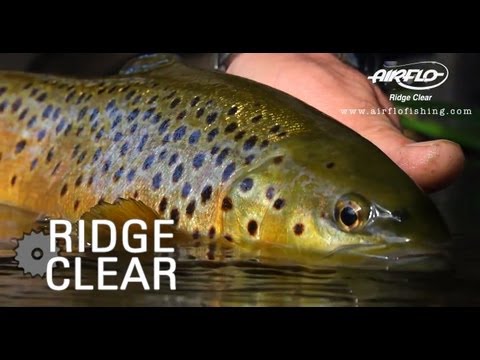 Ridge Clear Fly Lines from Airflo