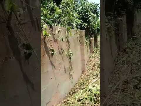 Residential Land For Sale Kara Lagos Extension Ogun