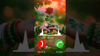 Download lagu I Love You My Jaan ||#mp3ringtonedownload #newringtone2025 #hindiringtone #musicalvinay #mp3ringtone mp3