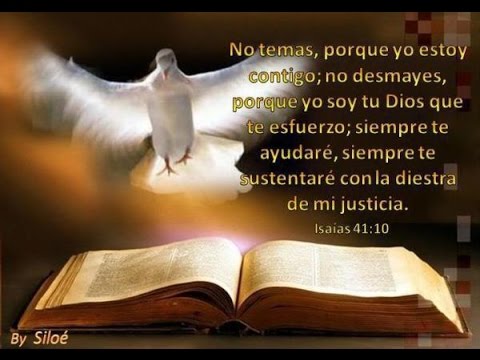 16º LIBRO DEL ESTUDIO REINA VALERA (LIBRO DE NEHEMÍAS)