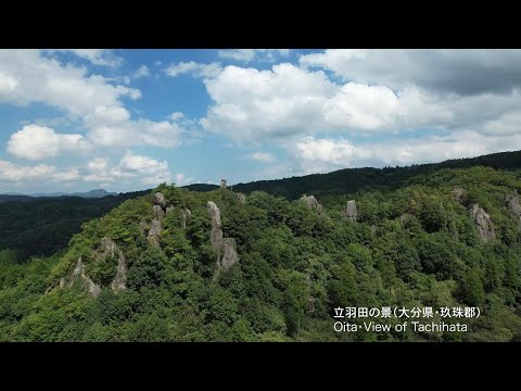 立羽田の景