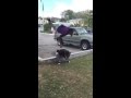 Leap frog fail