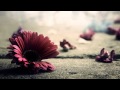 Monica Molina - Ay Amor 