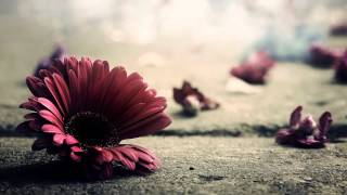 Monica Molina - Ay Amor