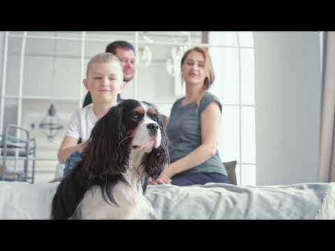 Wyoming King vs. Alaskan King vs. Texas King