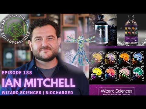 FIX THE PEOPLE - BREAK THE SYSTEM | Ian Mitchell of Wizard Sciences