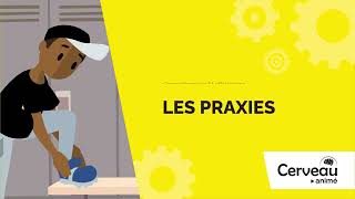 Praxes - Animated BRAIN - Adolescents