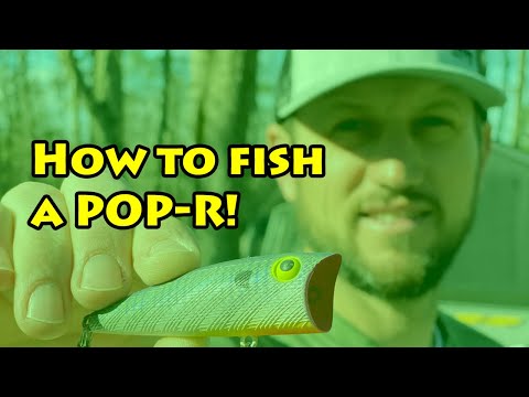 How, when and where to fish a Pop-R!