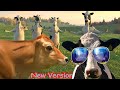 FUNNY COW DANCE 4 │ Cow Song & Cow Videos New Version (Crazy Official Music Video)