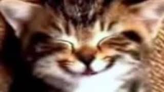 Download lagu Animasi ucapan selamat ulang tahun mp3 Download lagu Animasi ucapan selamat ulang tahun mp3