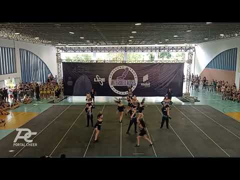 Intermed RJ-ES 2022 - FMV Pantera