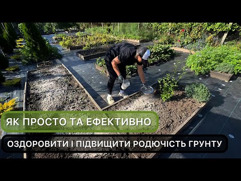 Оздоровлення ґрунту восени. Як підвищити родючість ґрунту