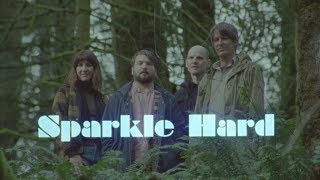 Stephen Malkmus & The Jicks - Sparkle Hard: The Supercut