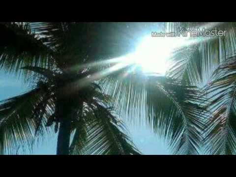 Kino Brown - Si tu savais