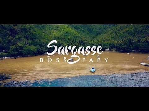 Boss Papy - Sargasse [Parodie Drex - Frozen]