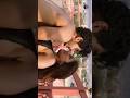 Bhumi Pednekar Hot Kissing Scenes The Royals Web Series Hot Scenes