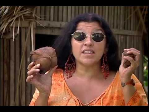 Um Pé de Quê? Andiroba