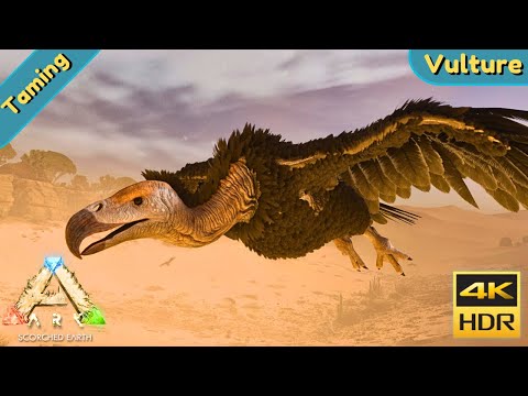 ARK Scorched Earth Ascended  : Tame a Vulture