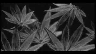 Mötley Crüe w/ John Corabi - Smoke The Sky