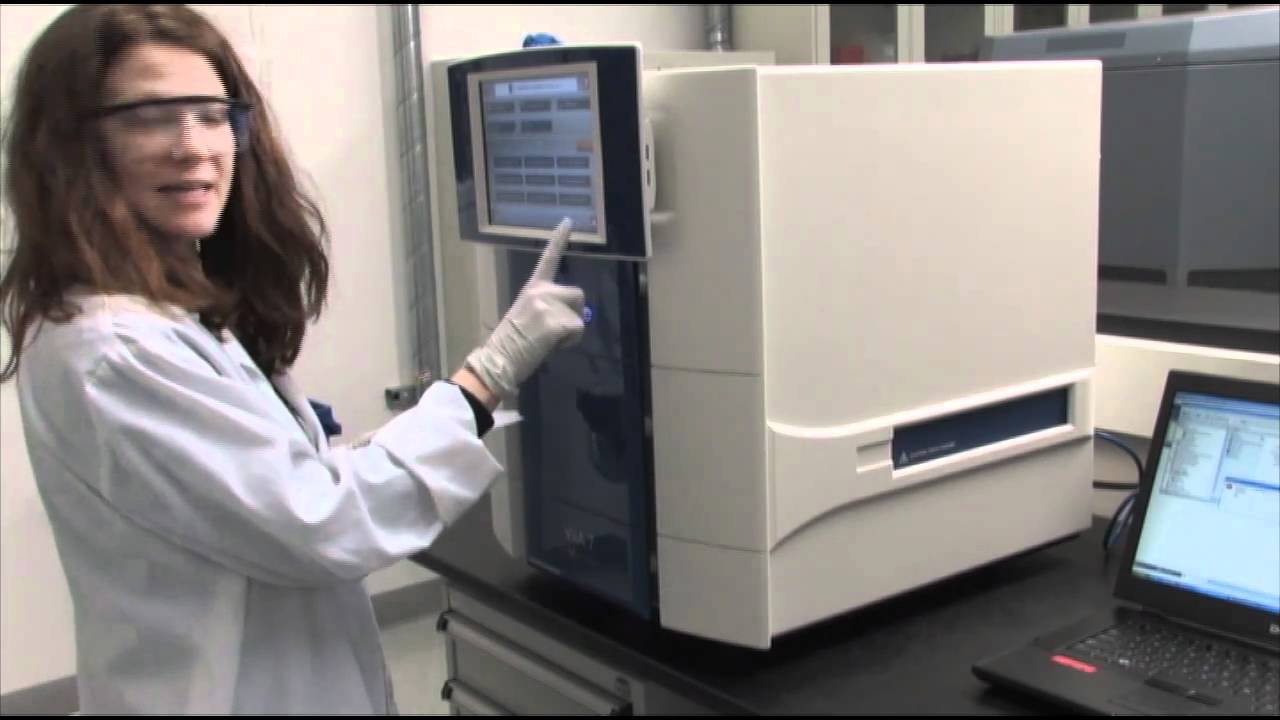 Amplify sample with the Viia™ 7 Real-Time PCR system  (qPCR step 8)