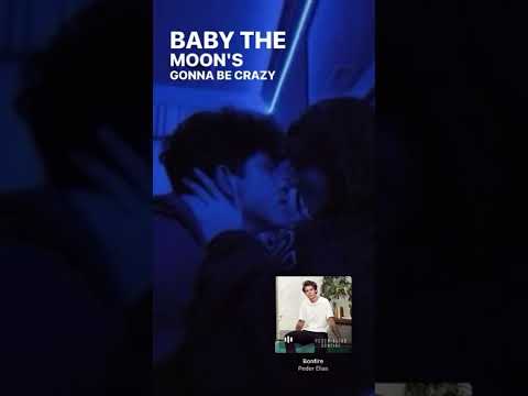 Bonfire - Peder Elias #pederelias #igstory