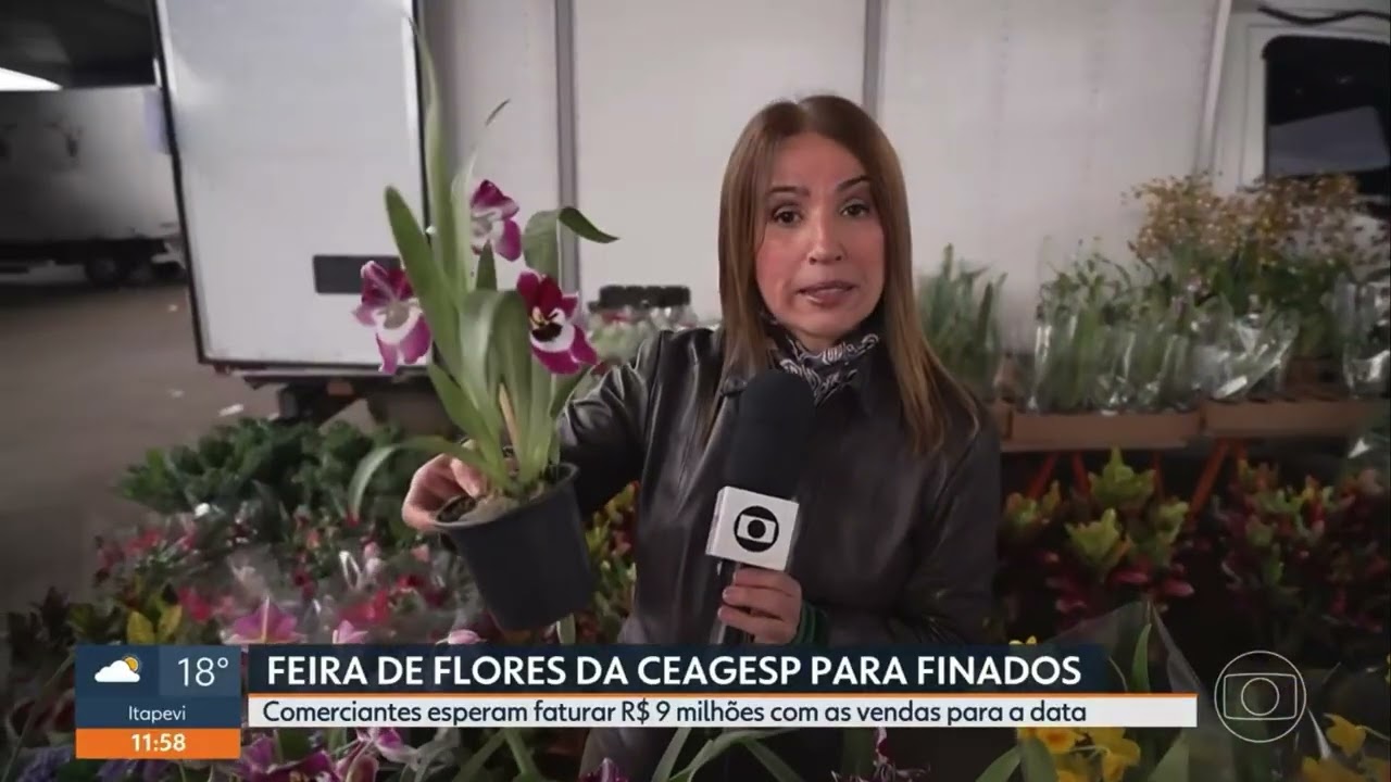 Clipping: SP1 destaca Feira de Flores da CEAGESP na comercialização para o Dia de Finados