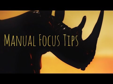 MANUAL FOCUS | 5 Tips For Better Videos