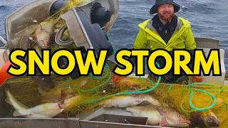 45 Cod Nets in ARCTIC Snowstorm (BIG Catch) #2