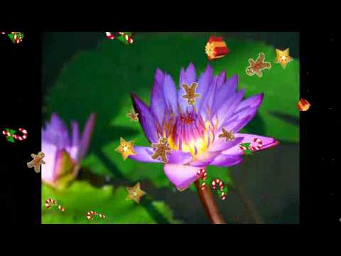 Excellos Five - Lady Of The Nil