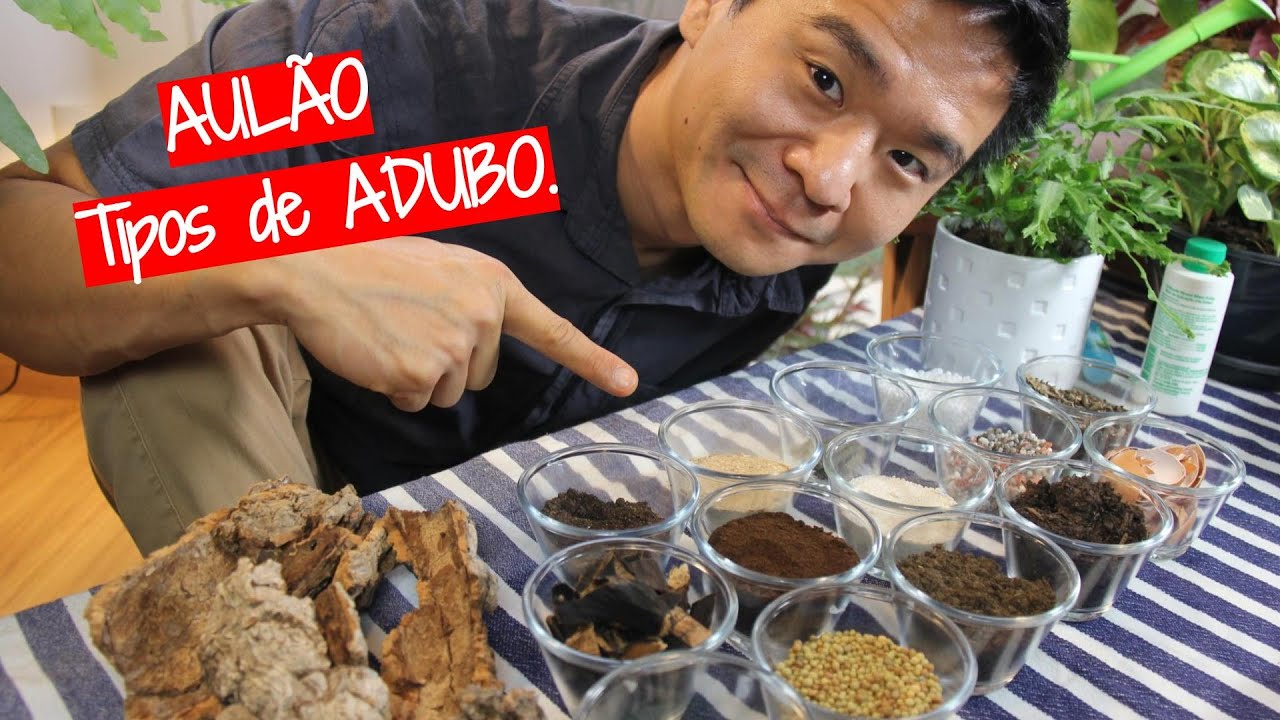 Aulão - Tipos de ADUBO