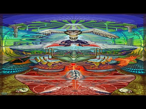 Salvia 40x Sent These People Into Another Realm of Existence