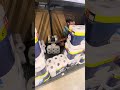 First Toilet Paper Fort In Walmart