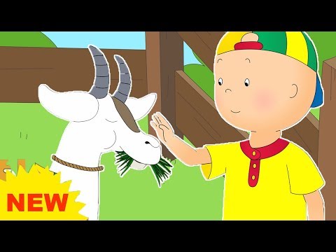 NEW! CAILLOU AT THE FARM | Videos For Kids | Funny Animated Videos For Kids | Cartoon movie