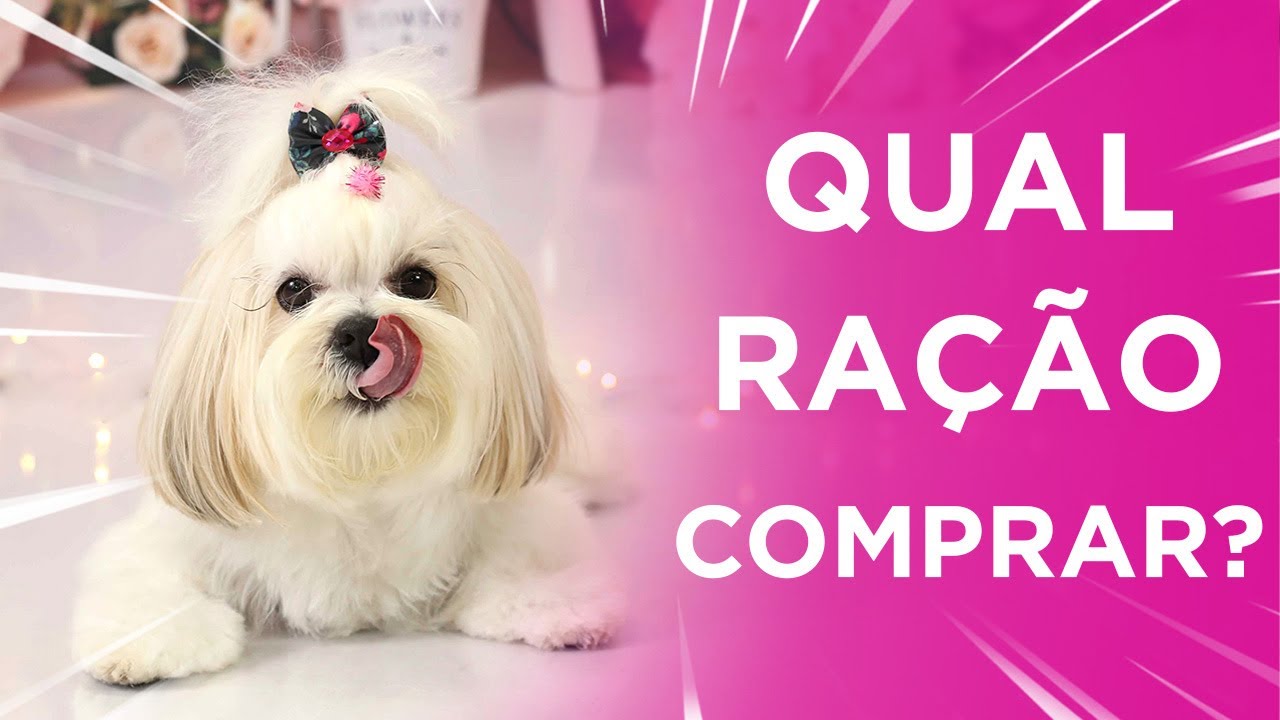 QUAL RAÇÃO MINHA SHIH TZU COME