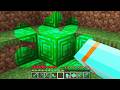 Minecraft But Everything I Touch Turns To EMERALDS