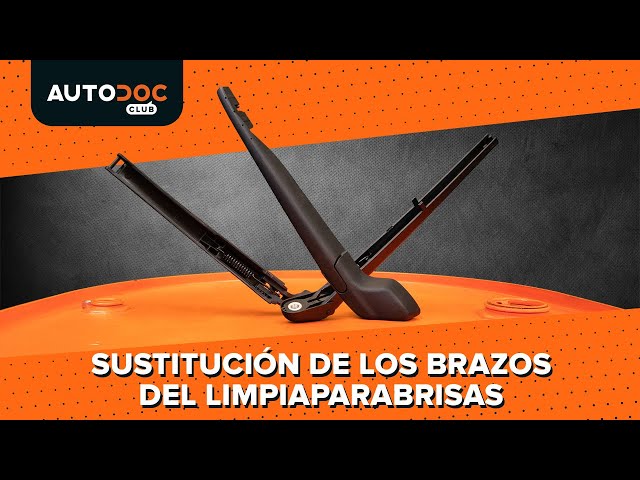 Vea una guía de video sobre cómo reemplazar MERCEDES-BENZ G-CLASS (W463) Brazo limpia