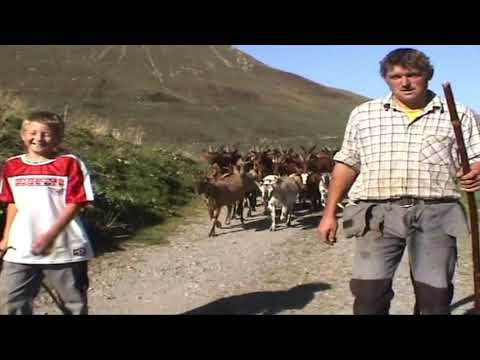 Sera Alpabtrieb Ziegen 30.09.2011 mit Musik