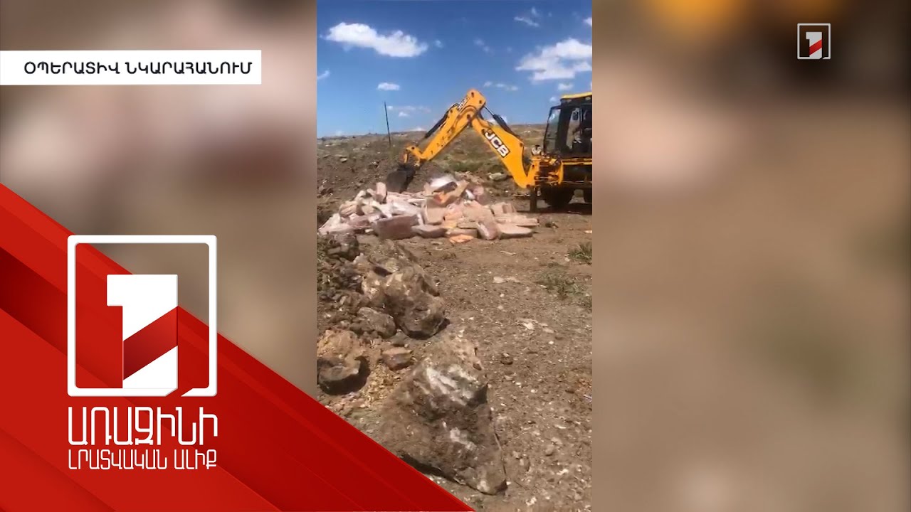 Հավի մսի մի մասը վարորդը բեռնաթափել է իր շների համար. ընկերության իրավաբան