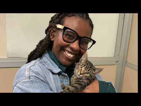 A Better Future for Animals - Furkids 2025 Anniversary