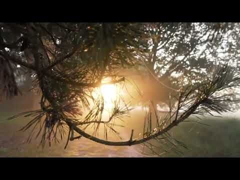 The Departure (Extended)