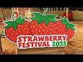 Ka Kam Rep Soh Strawberry Ka Dei Kaba Pyniohnong Bha Ia Ki Nongrep