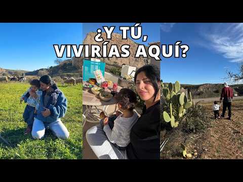 ARE WE MOVING? Desert life: firewood, sheep and lots of peace and quiet