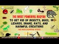 Very Strong Al Quran Ruqyah To Get Rid Of Insects Bugs Lizards Snake Rats And Harmful Creations
