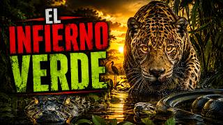 SECRETOS DEL PANTANAL BRASILEÑO | Donde Reinan Los Grandes Depredadores [Documental em 4K]