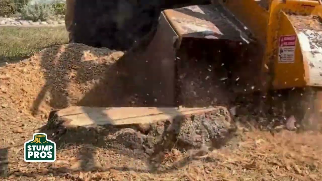 Stump Grinding in Olathe, Kansas