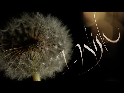 A Thousand Wishes (art/writing series)