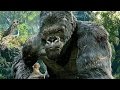 King Kong Vs T Rexes Fight Scene Movie CLIP 1080p 60 FPS HD