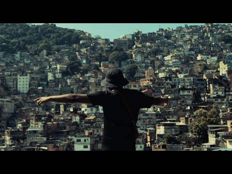 El Patron 970 - Tintados