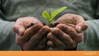 Environmental Protection & Soil Health
